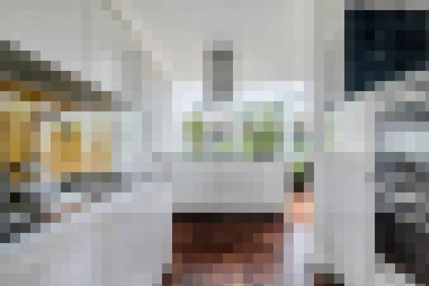Obrechtstraat 52 Arnhem thumbnail 10