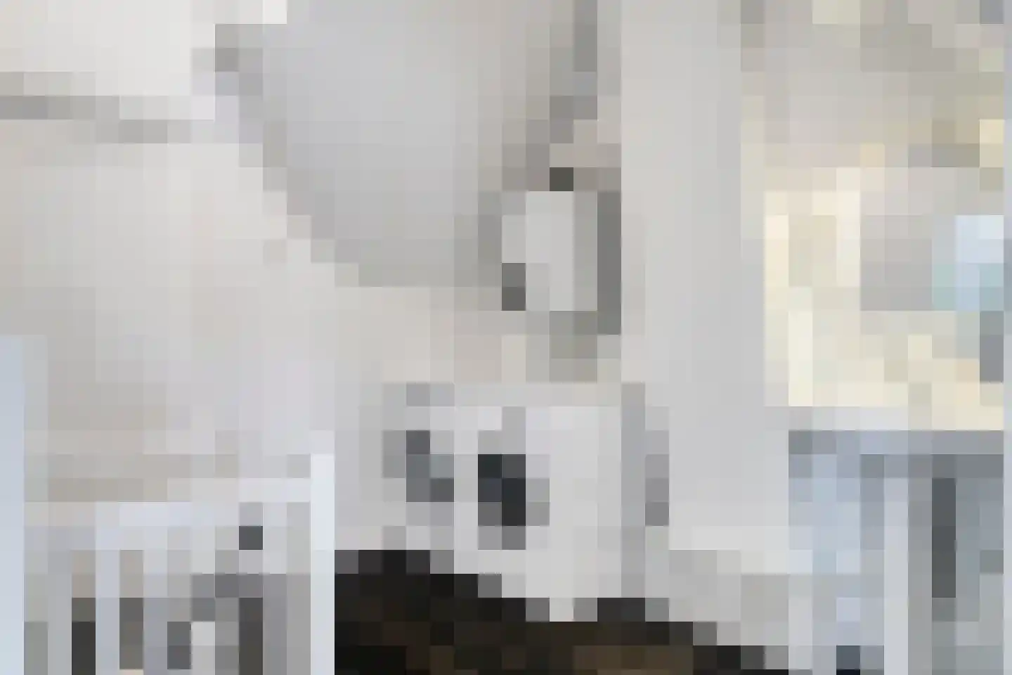 Obrechtstraat 52 Arnhem thumbnail 35
