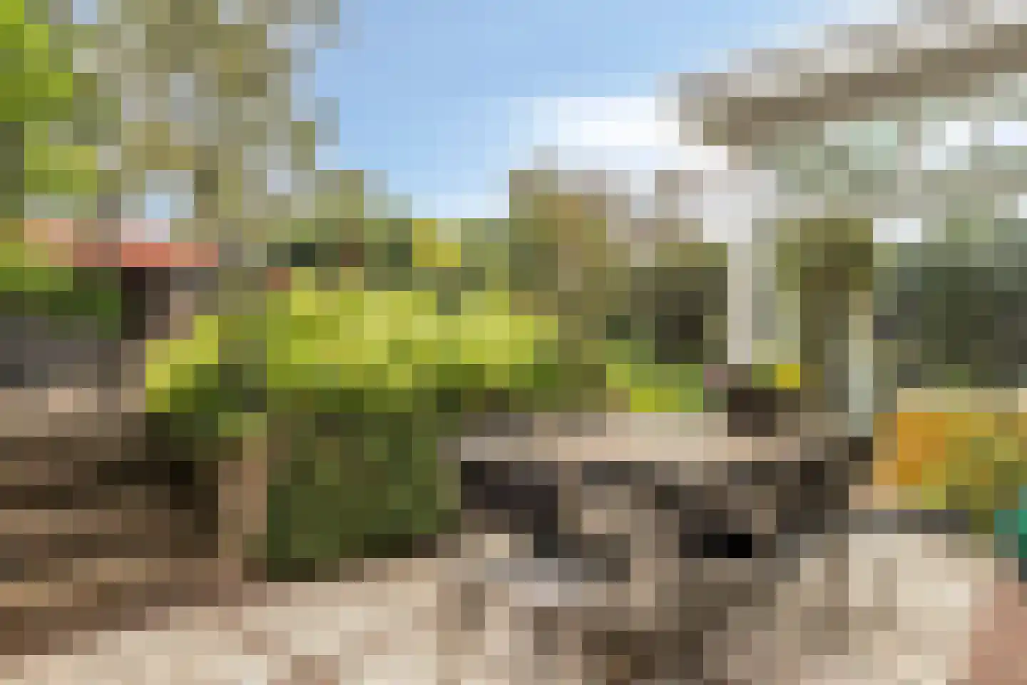 Obrechtstraat 52 Arnhem thumbnail 41
