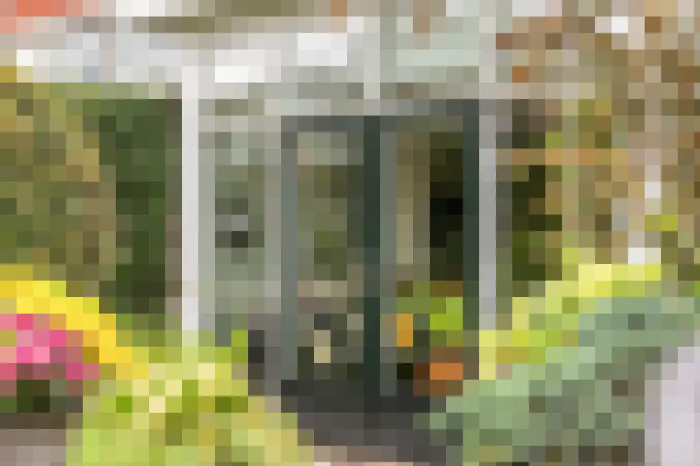 Obrechtstraat 52 Arnhem thumbnail 42