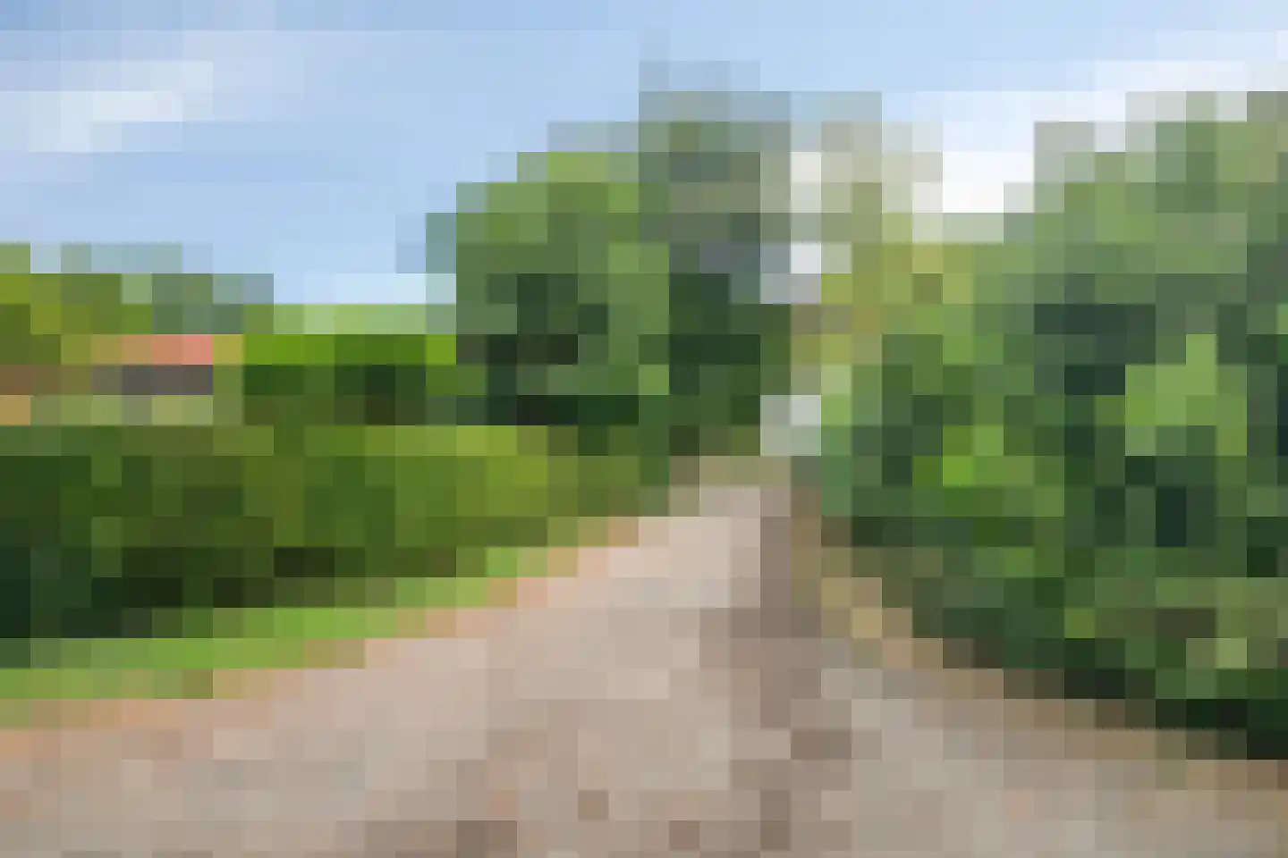 Obrechtstraat 52 Arnhem thumbnail 49