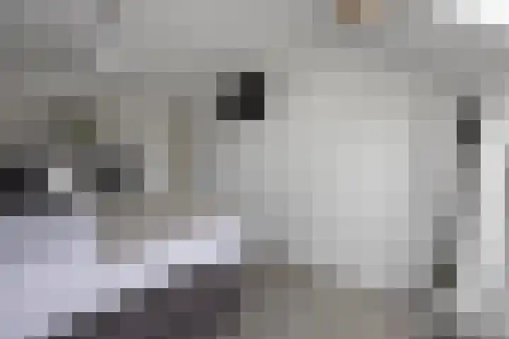Obrechtstraat 59 Drunen thumbnail 14