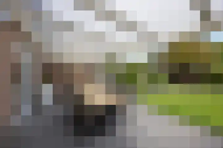 Obrechtstraat 59 Drunen thumbnail 24