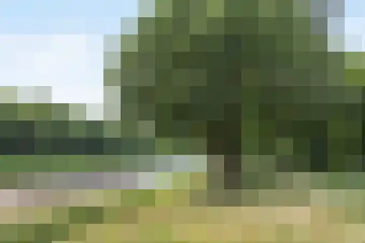 Obrechtstraat 59 Drunen thumbnail 34
