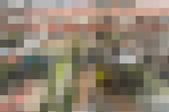 Obrechtstraat 7 Dordrecht thumbnail 31