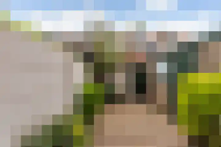 Obrechtstraat 7 Dordrecht thumbnail 37
