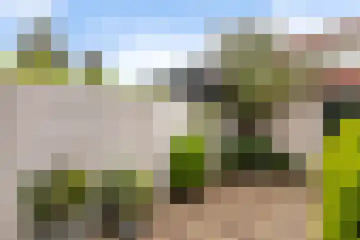 Obrechtstraat 7 Dordrecht thumbnail 38