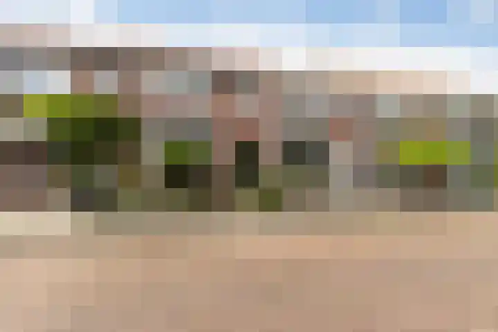 Obrechtstraat 7 Dordrecht thumbnail 4