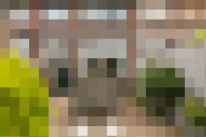 Obrechtstraat 7 Dordrecht thumbnail 41