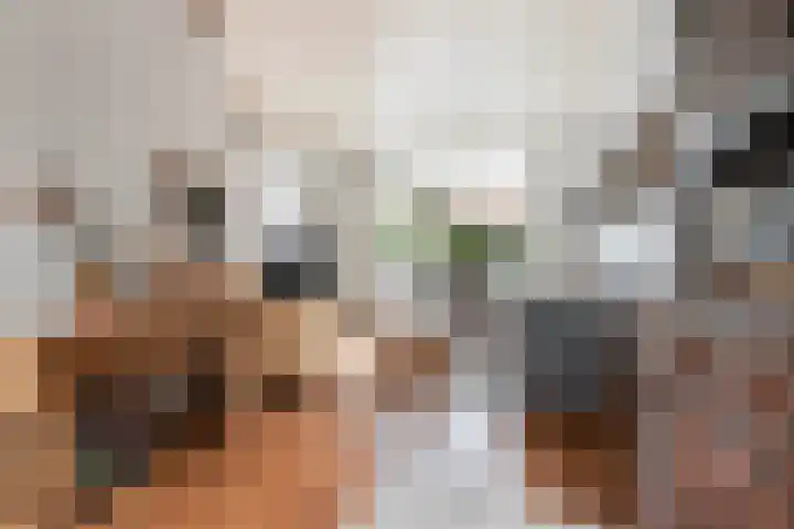 Obrechtstraat 7 Dordrecht thumbnail 9