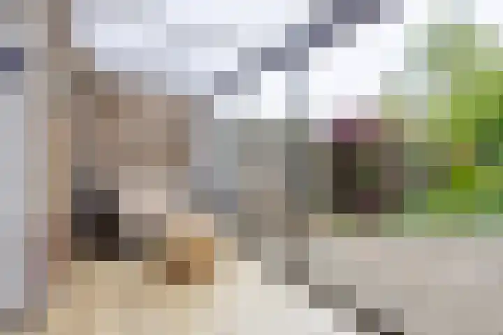 Obriglaan 17 Heiloo thumbnail 11