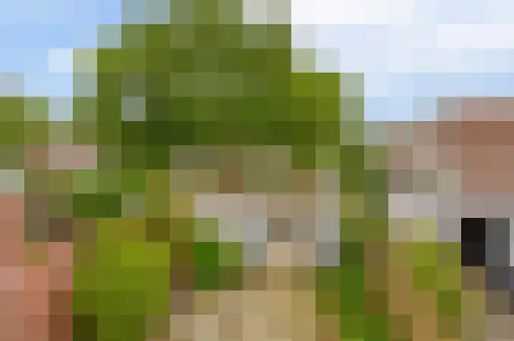 Obriglaan 17 Heiloo thumbnail 18