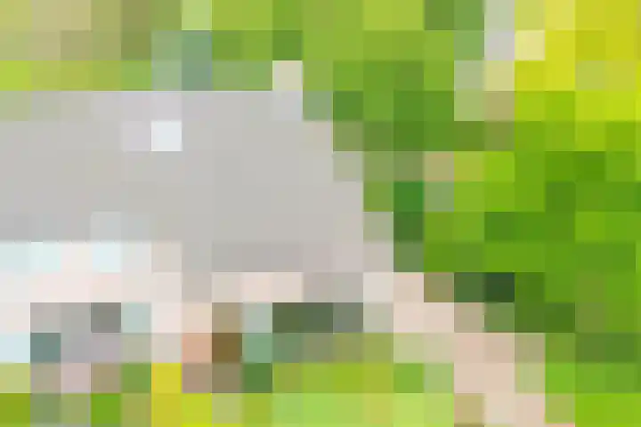 Obriglaan 17 Heiloo thumbnail 37