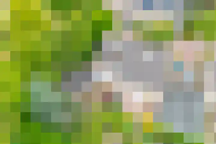 Obriglaan 17 Heiloo thumbnail 40