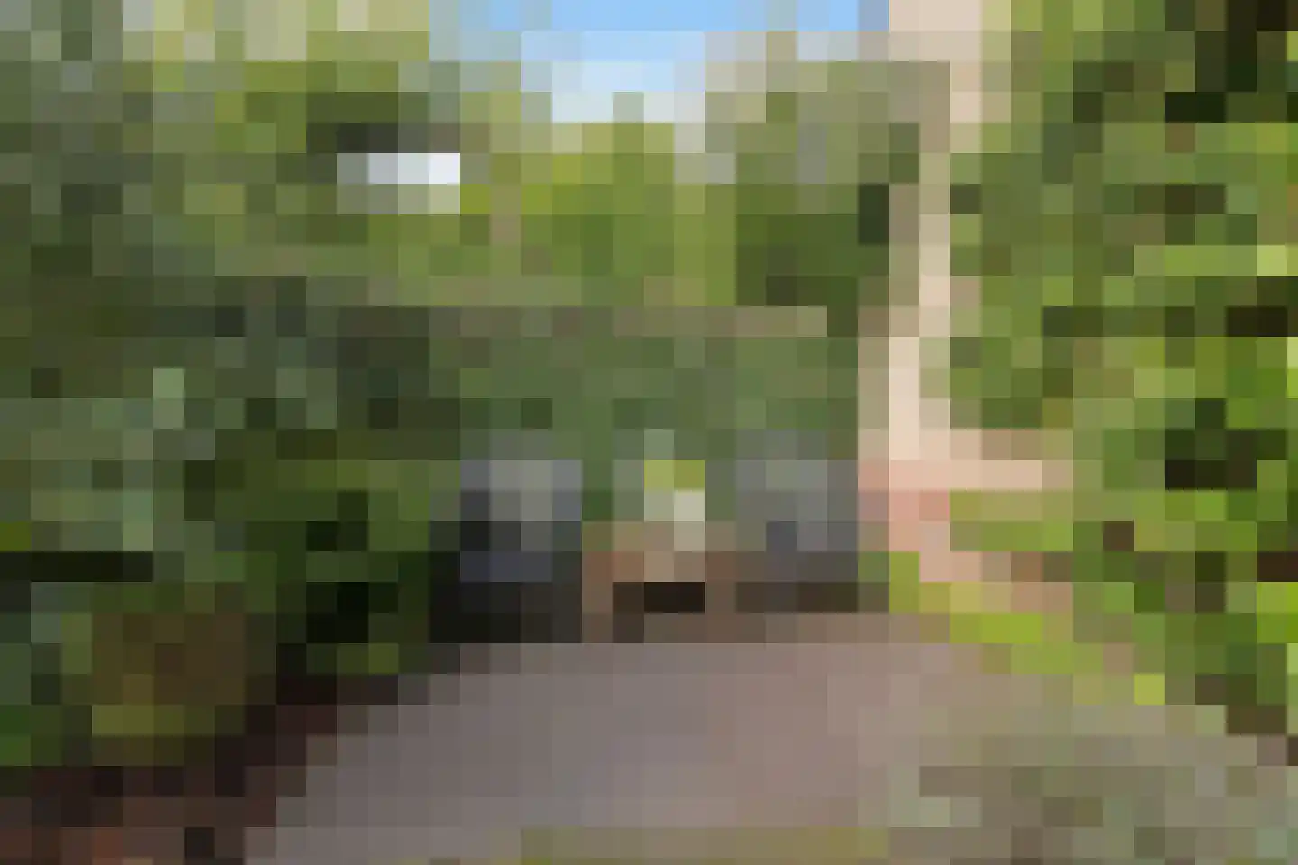 Obriglaan 3 Heiloo thumbnail 27