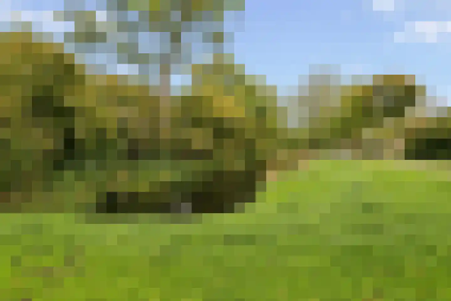 Obriglaan 3 Heiloo thumbnail 30