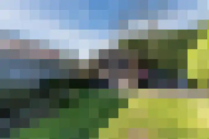 Obriglaan 41 Heiloo thumbnail 52