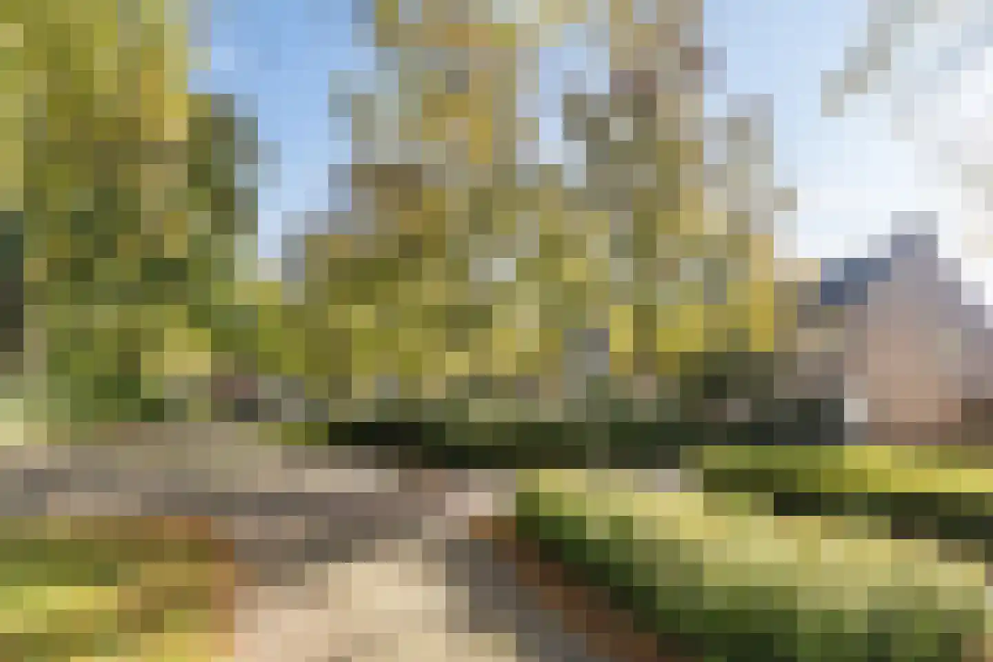Obriglaan 48 Heiloo thumbnail 30
