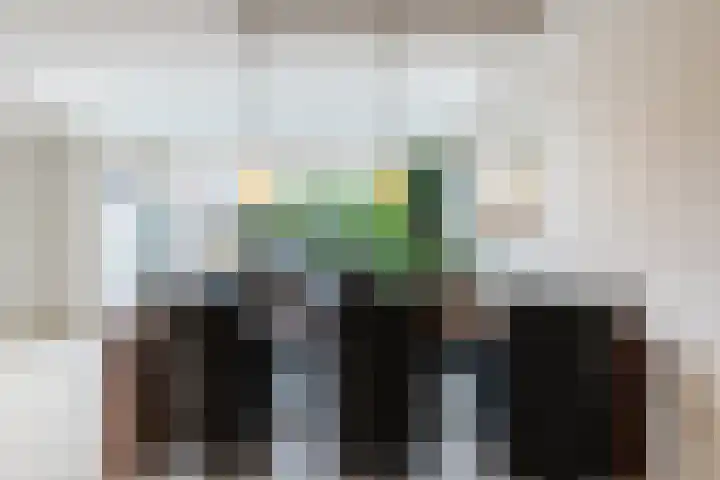 Obsenichtlaan 6 Baarlo thumbnail 11