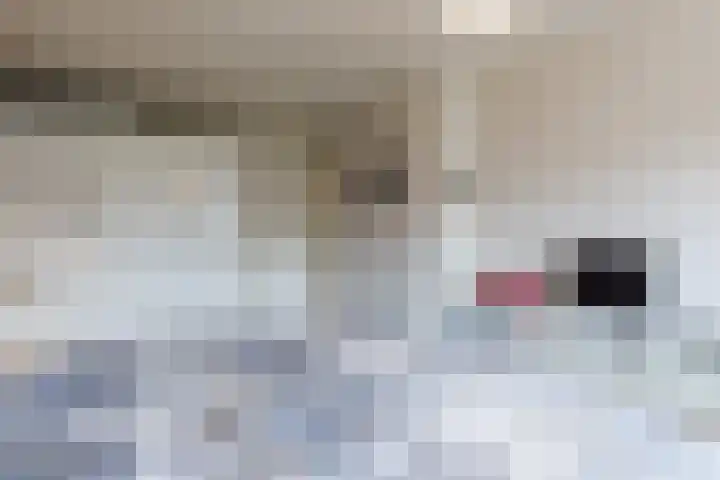 Obsenichtlaan 6 Baarlo thumbnail 31