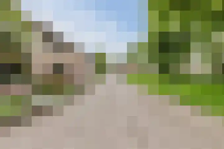 Obsenichtlaan 6 Baarlo thumbnail 4