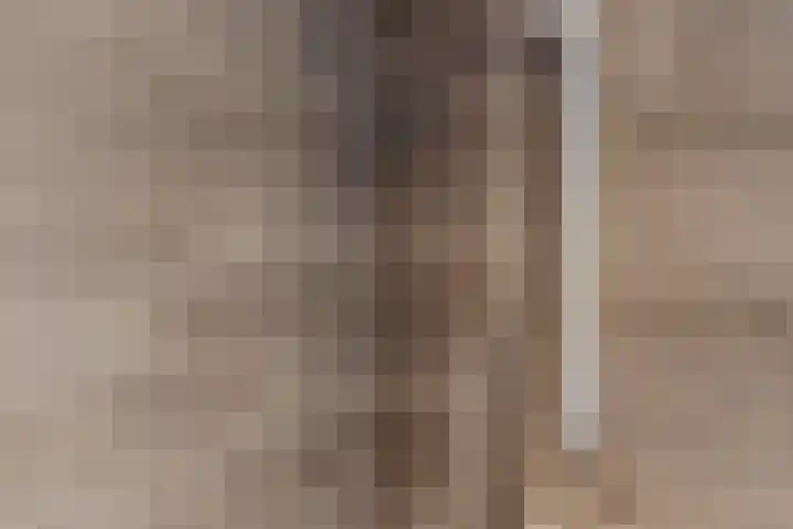 Obsenichtlaan 6 Baarlo thumbnail 40