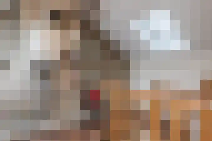 Obsenichtlaan 6 Baarlo thumbnail 43