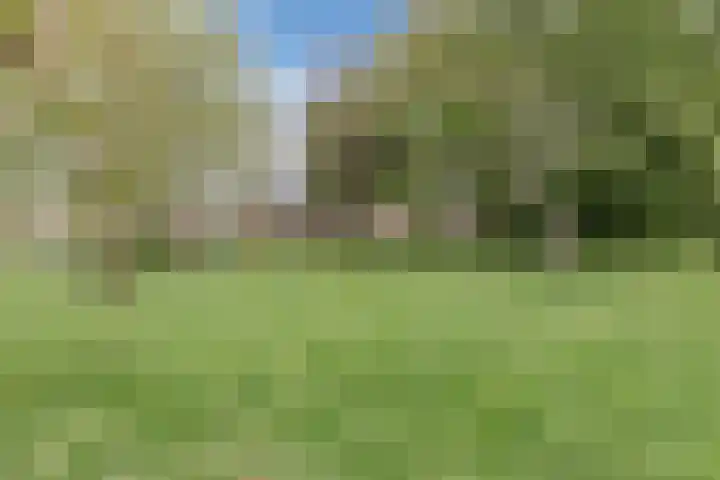 Obsenichtlaan 6 Baarlo thumbnail 50