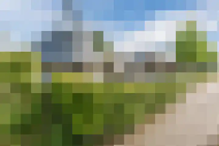 Obsenichtlaan 6 Baarlo thumbnail 51