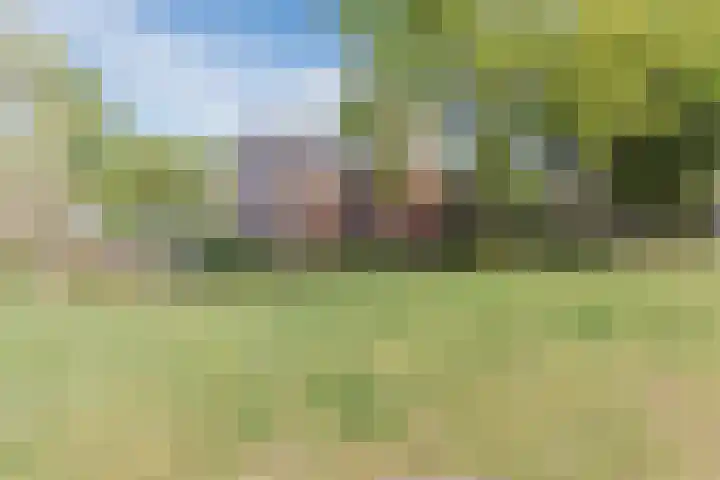 Obsenichtlaan 6 Baarlo thumbnail 53