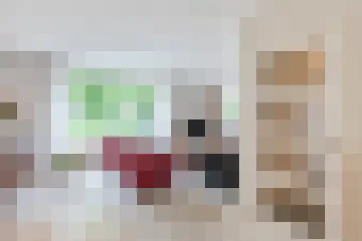Obsenichtlaan 6 Baarlo thumbnail 9