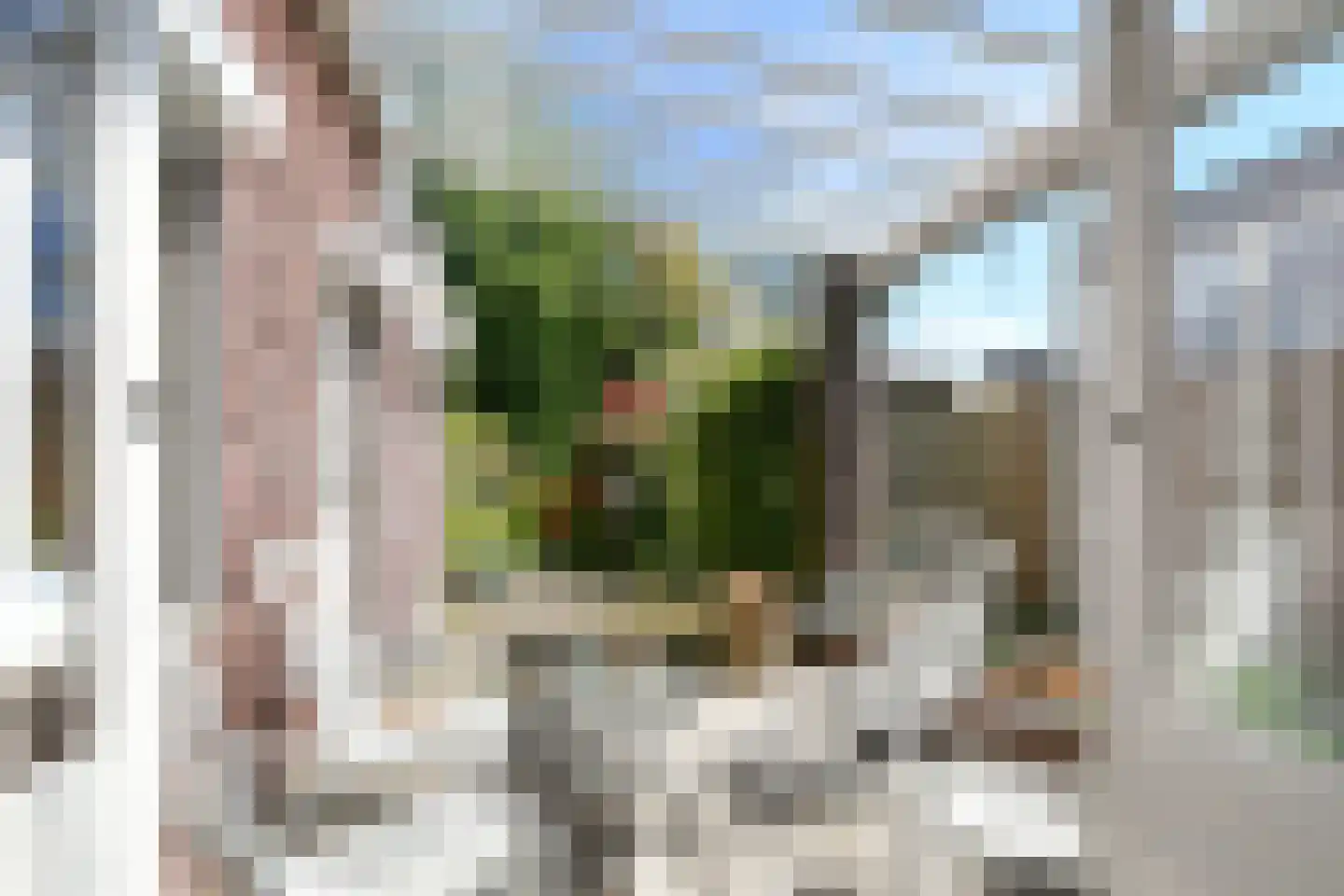 Observantenstraat 4 Weert thumbnail 27