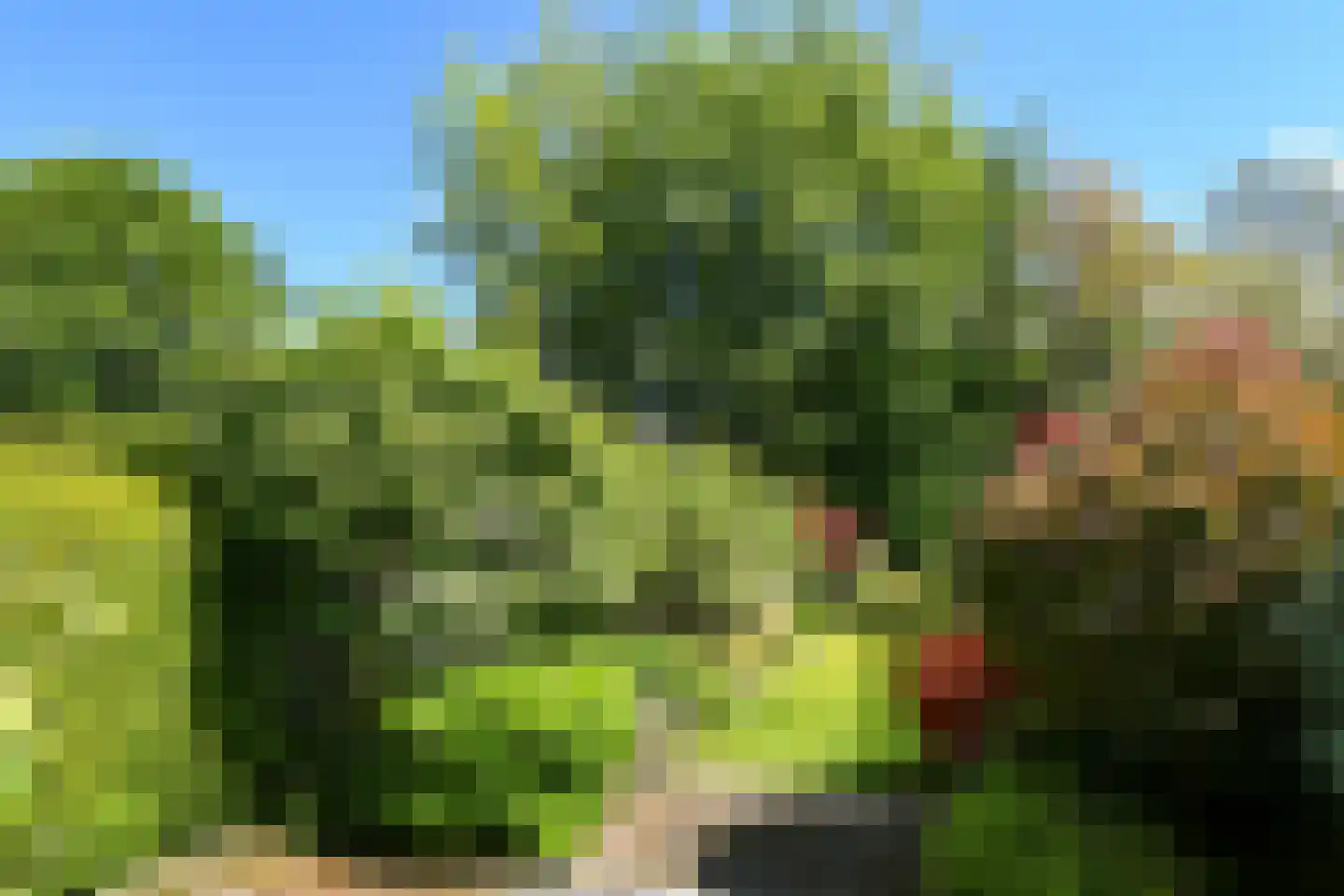 Observantenstraat 4 Weert thumbnail 30