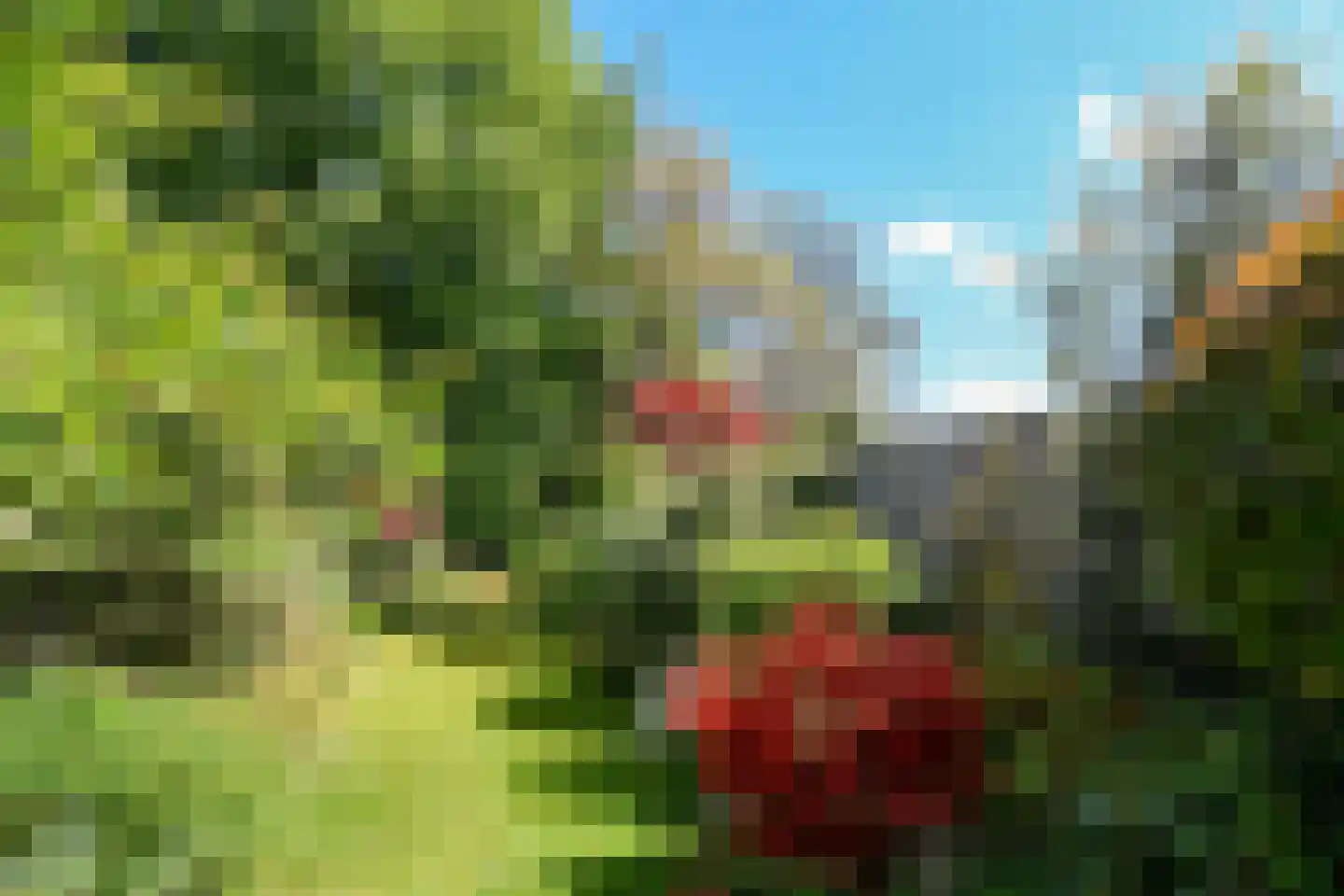 Observantenstraat 4 Weert thumbnail 31