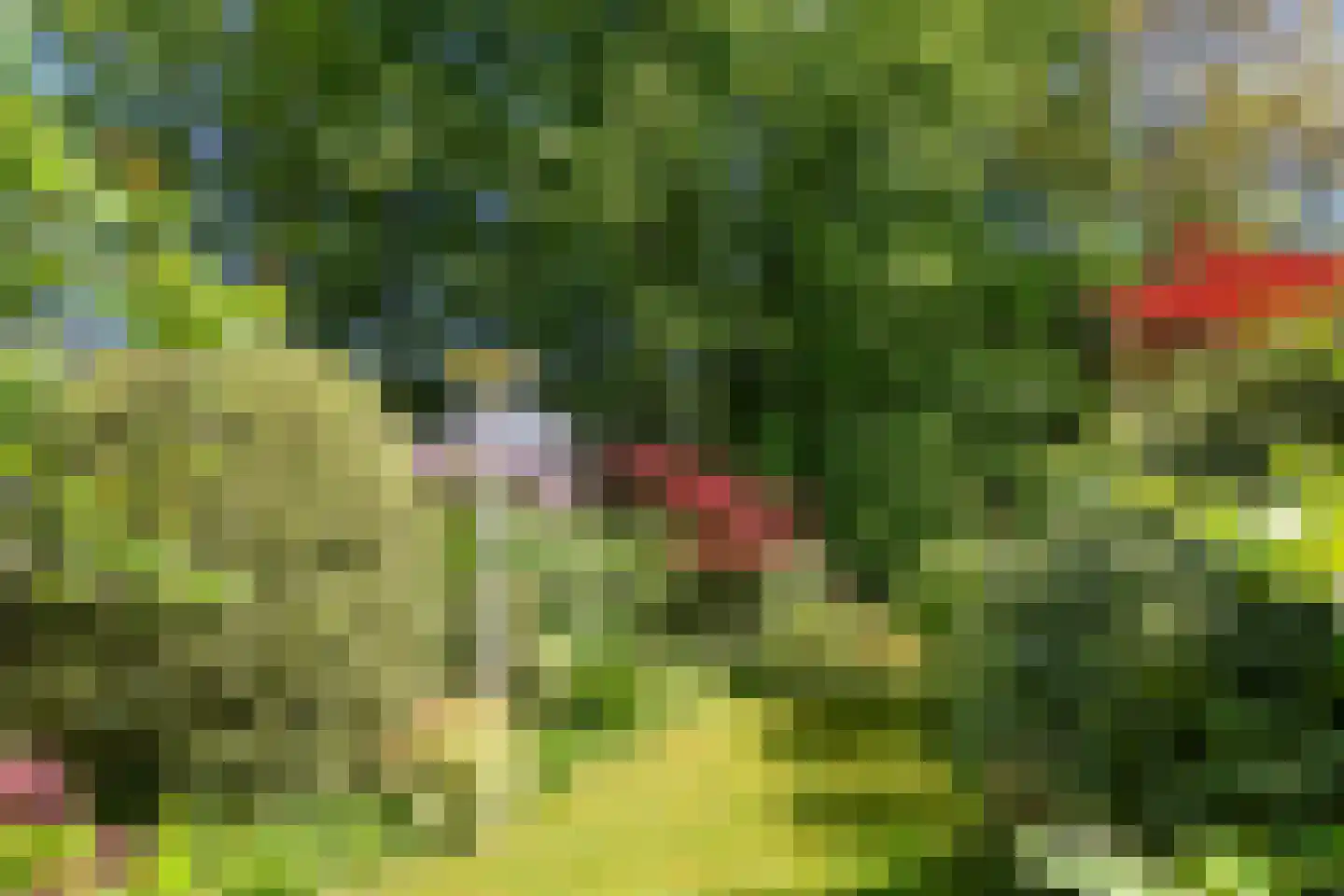 Observantenstraat 4 Weert thumbnail 32