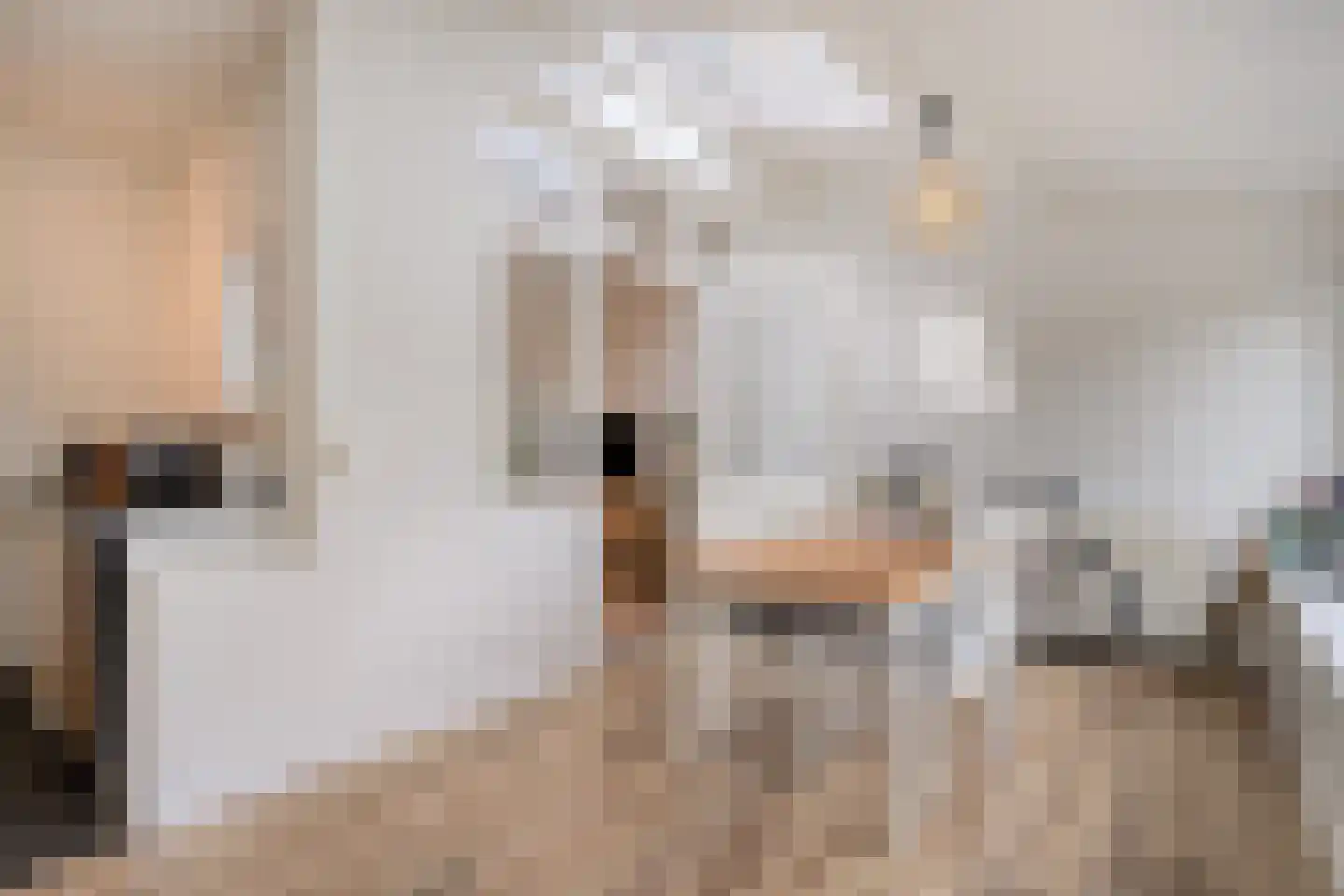 Observantenweg 13 Maastricht thumbnail 5