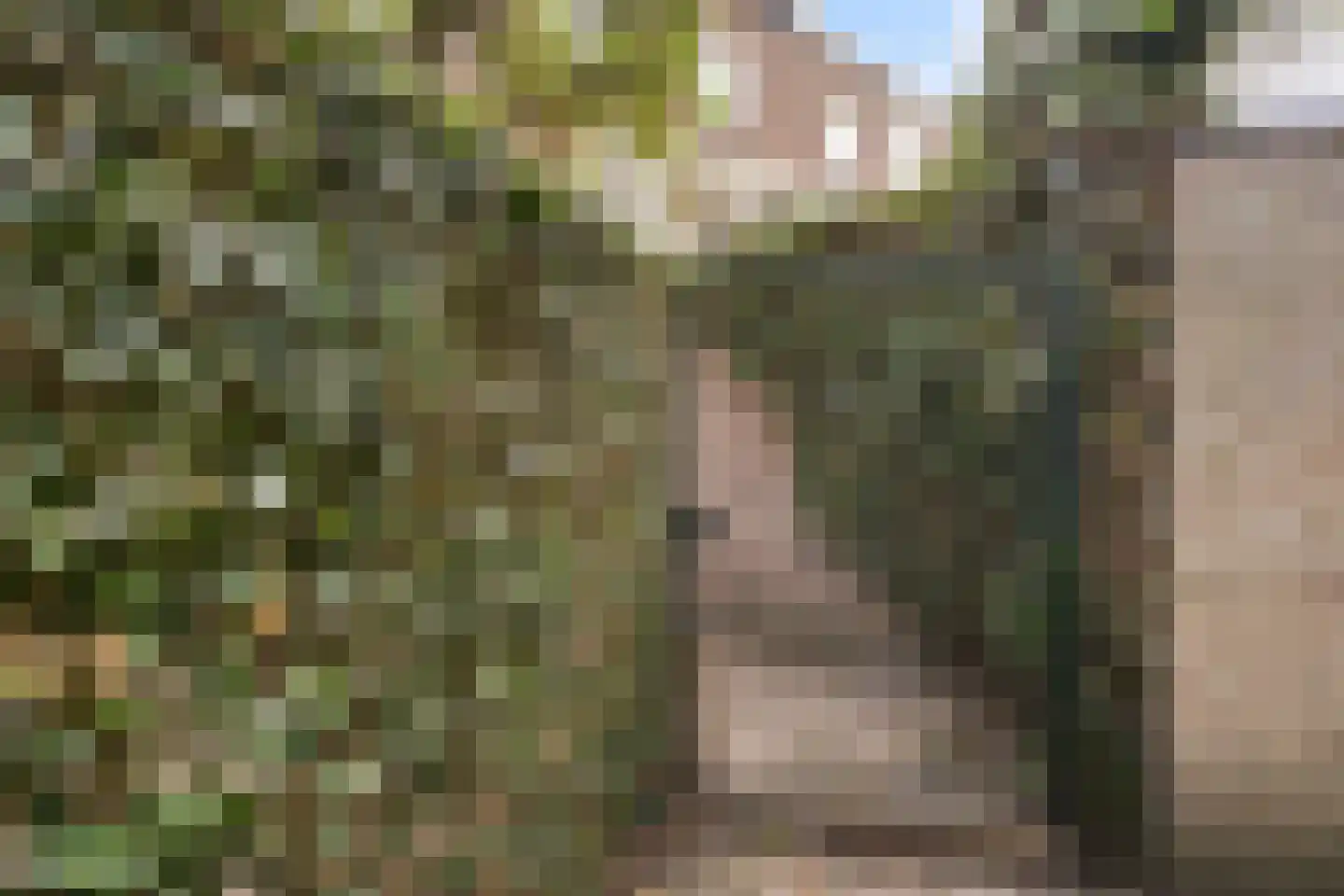 Observantenweg 21 A 01 Maastricht thumbnail 33