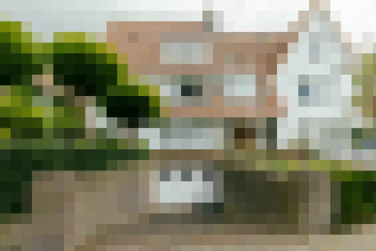 Observantenweg 47 Maastricht thumbnail 32