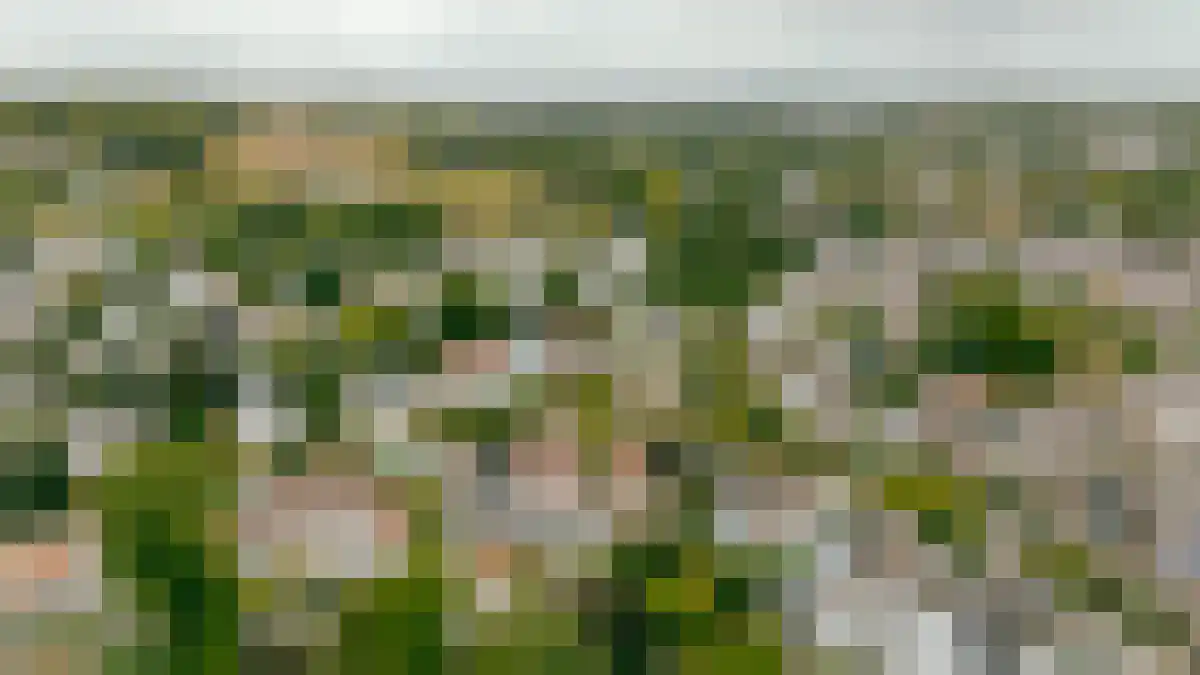 Observantenweg 47 Maastricht thumbnail 34