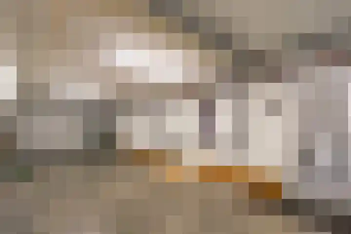 Observantenweg 61 Maastricht thumbnail 18