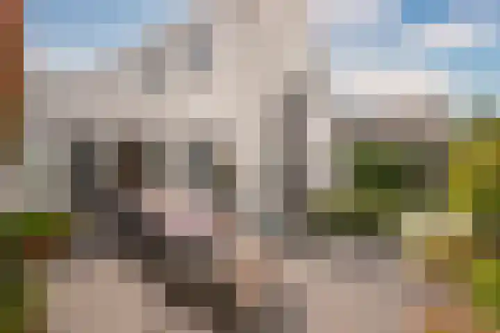 Observantenweg 61 Maastricht thumbnail 22