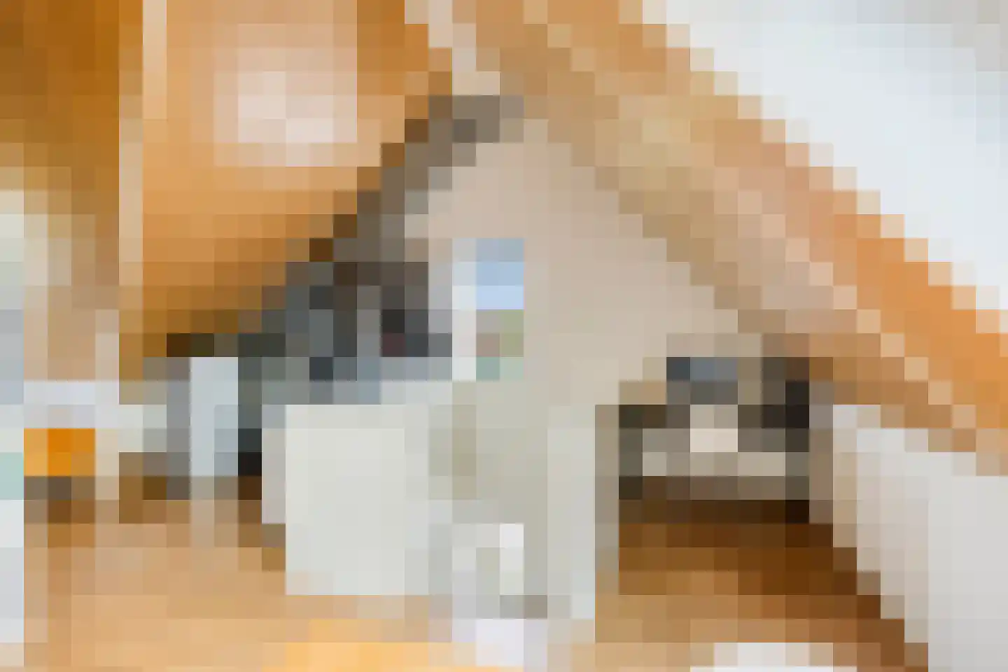 Obsidiaan 16 Deest thumbnail 30