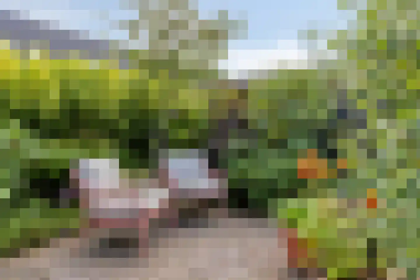 Obsidiaan 16 Deest thumbnail 38