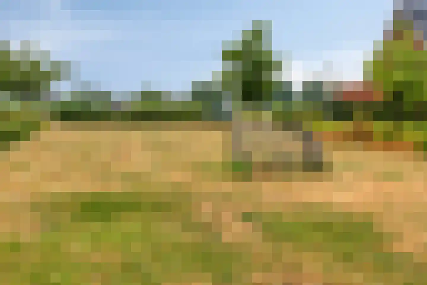 Obsidiaan 16 Deest thumbnail 45