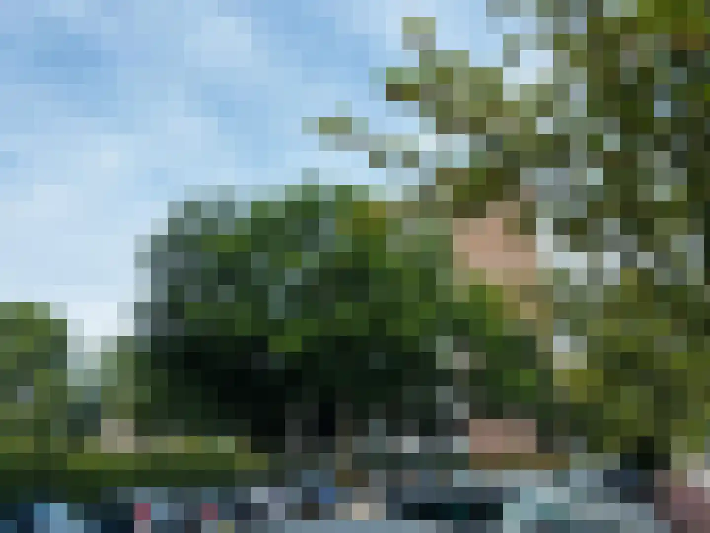 Ocarinalaan 102 Rijswijk thumbnail 21