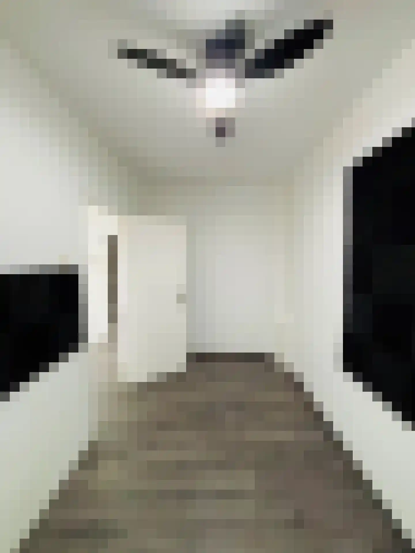 Ocarinalaan 102 Rijswijk thumbnail 8