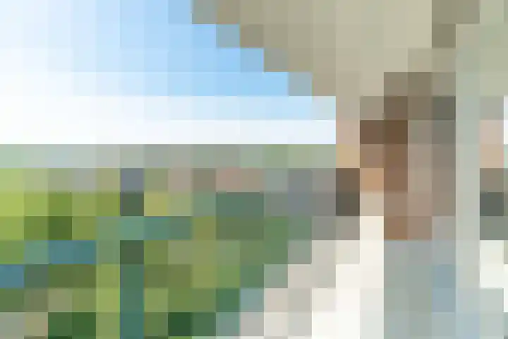 Ocarinalaan 146 Rijswijk thumbnail 10