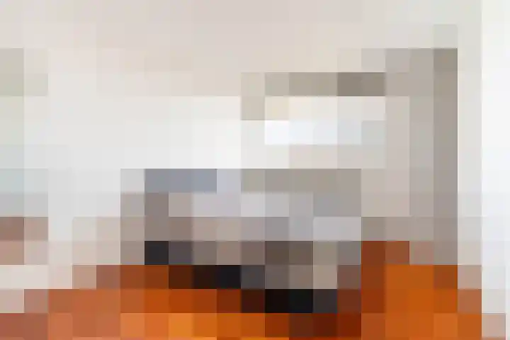 Ocarinalaan 146 Rijswijk thumbnail 19