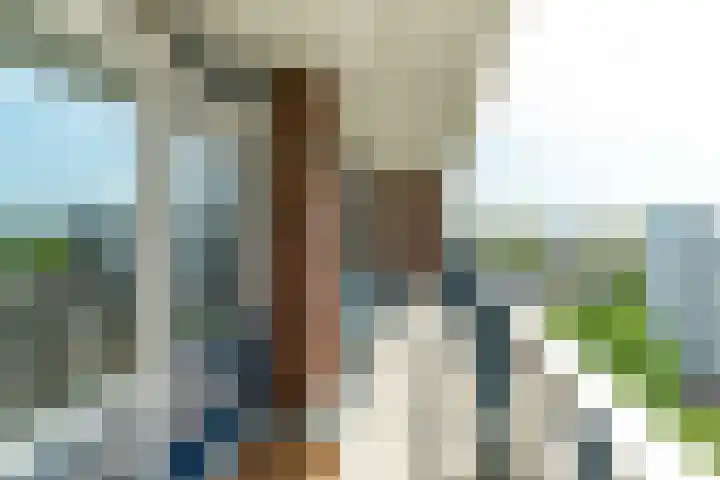 Ocarinalaan 146 Rijswijk thumbnail 8