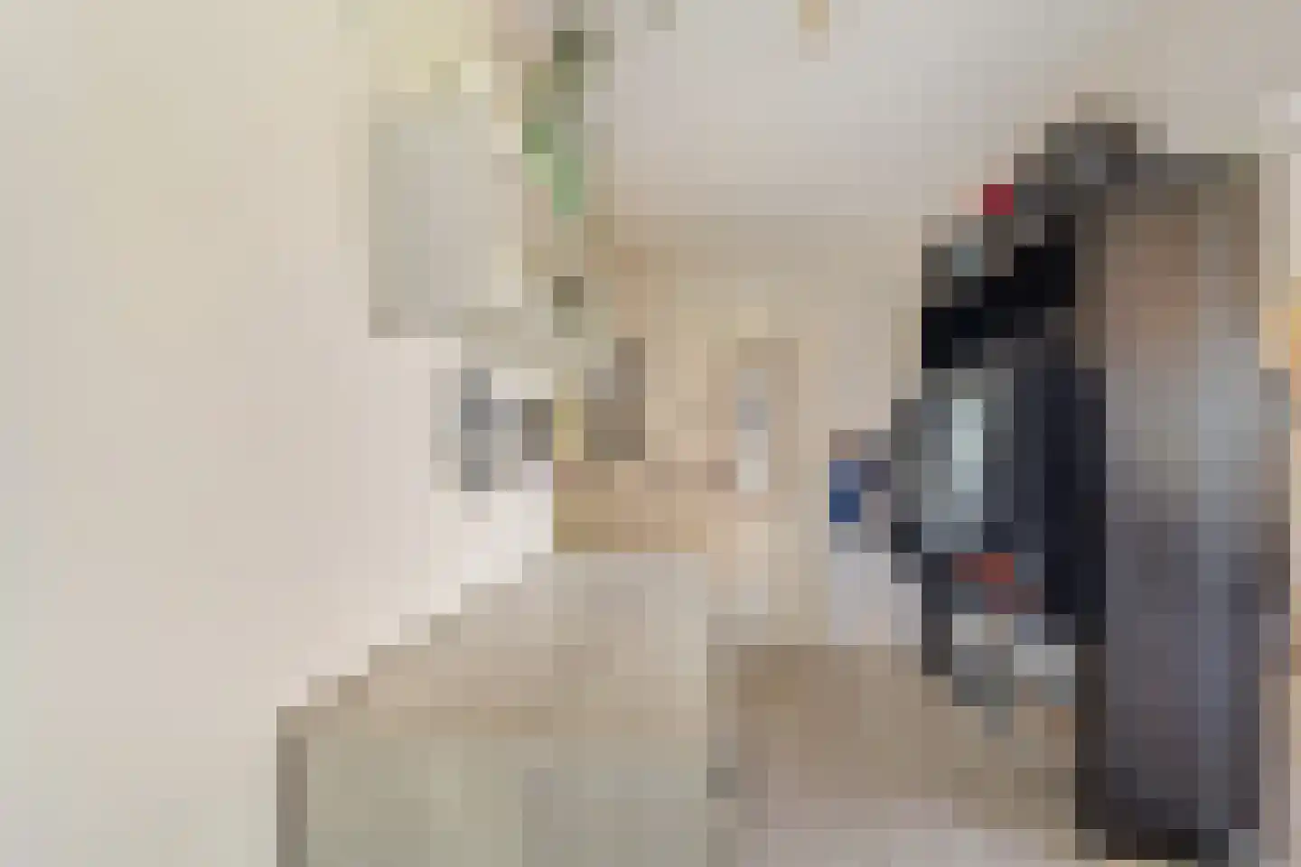 Ocarinalaan 224 Rijswijk thumbnail 12